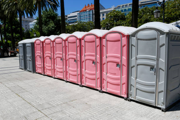 Best Portable Toilets with Baby Changing Stations  in Normandy, MO